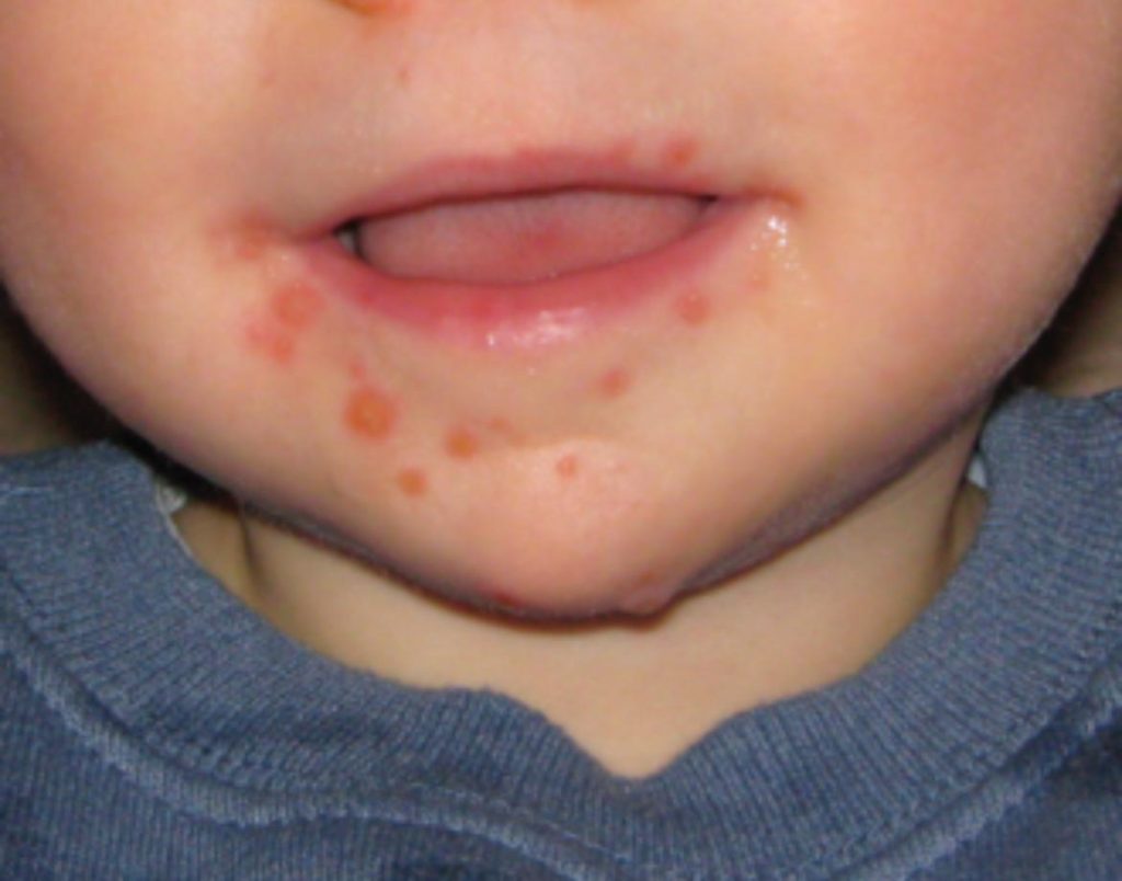 La imagen actual no tiene texto alternativo. El nombre del archivo es: PHOTO-2025-11-20-16-41-06.jpg