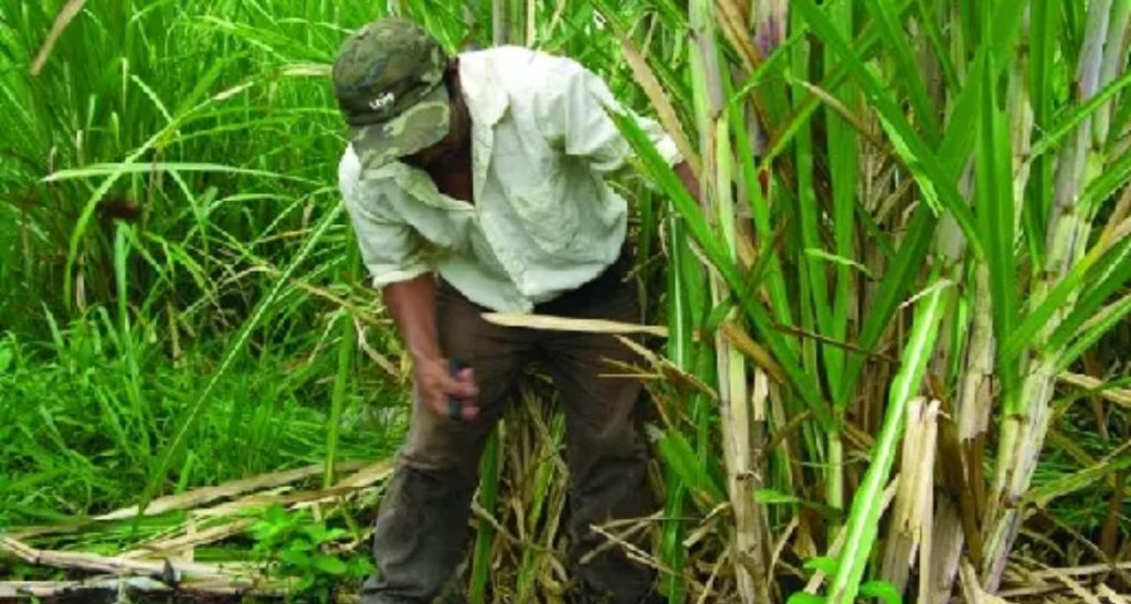 La imagen actual no tiene texto alternativo. El nombre del archivo es: PHOTO-2025-12-23-16-28-02.jpg