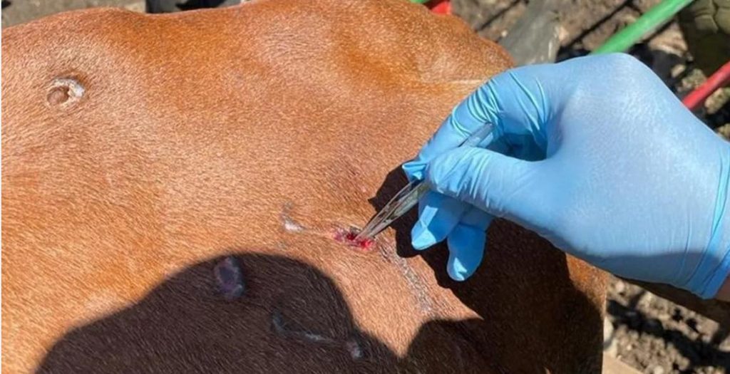 La imagen actual no tiene texto alternativo. El nombre del archivo es: PHOTO-2026-01-05-14-29-29.jpg