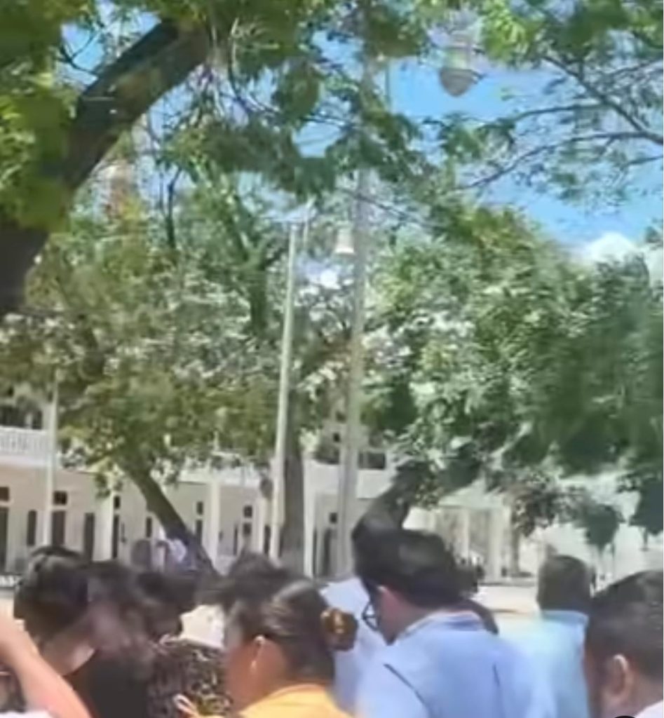 La imagen actual no tiene texto alternativo. El nombre del archivo es: PHOTO-2026-06-08-12-53-36.jpg